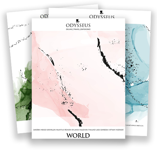 Odysseus-brochure-bib-visual-500X500