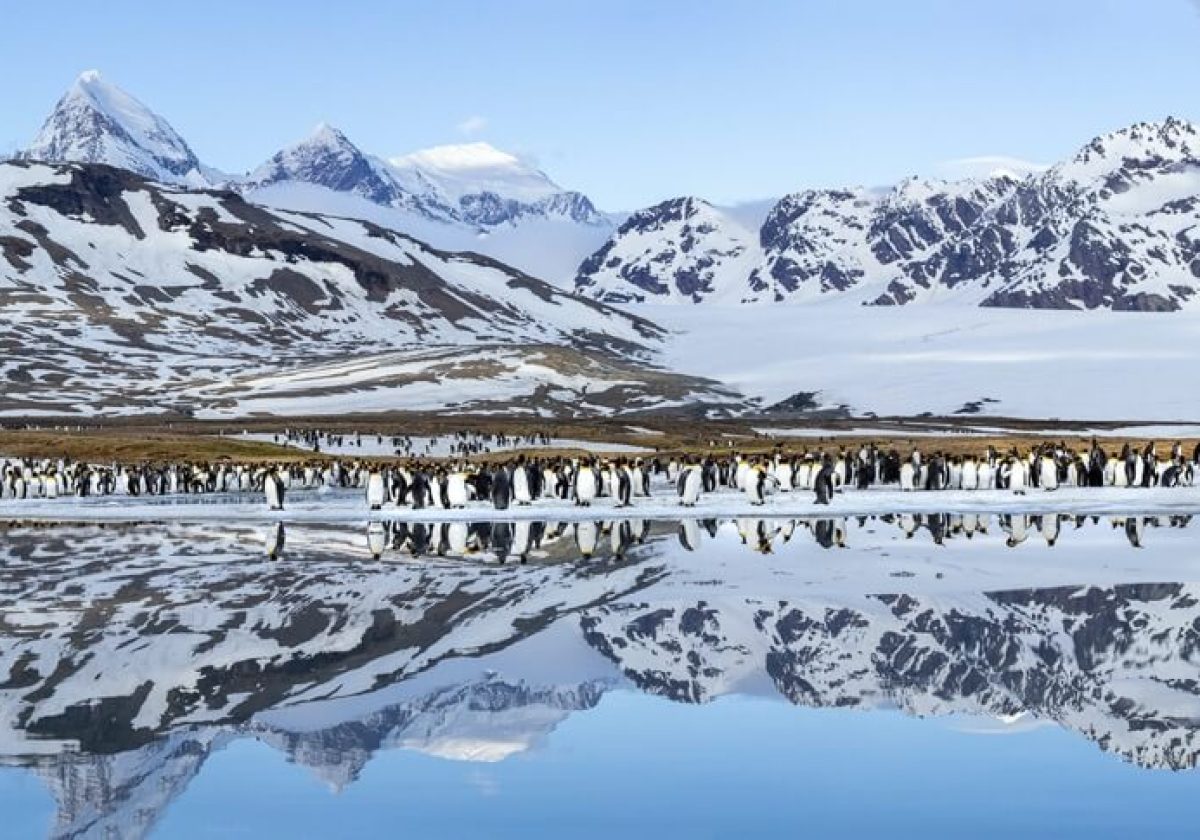 PIET VAN DEN BEMD (4) Groot