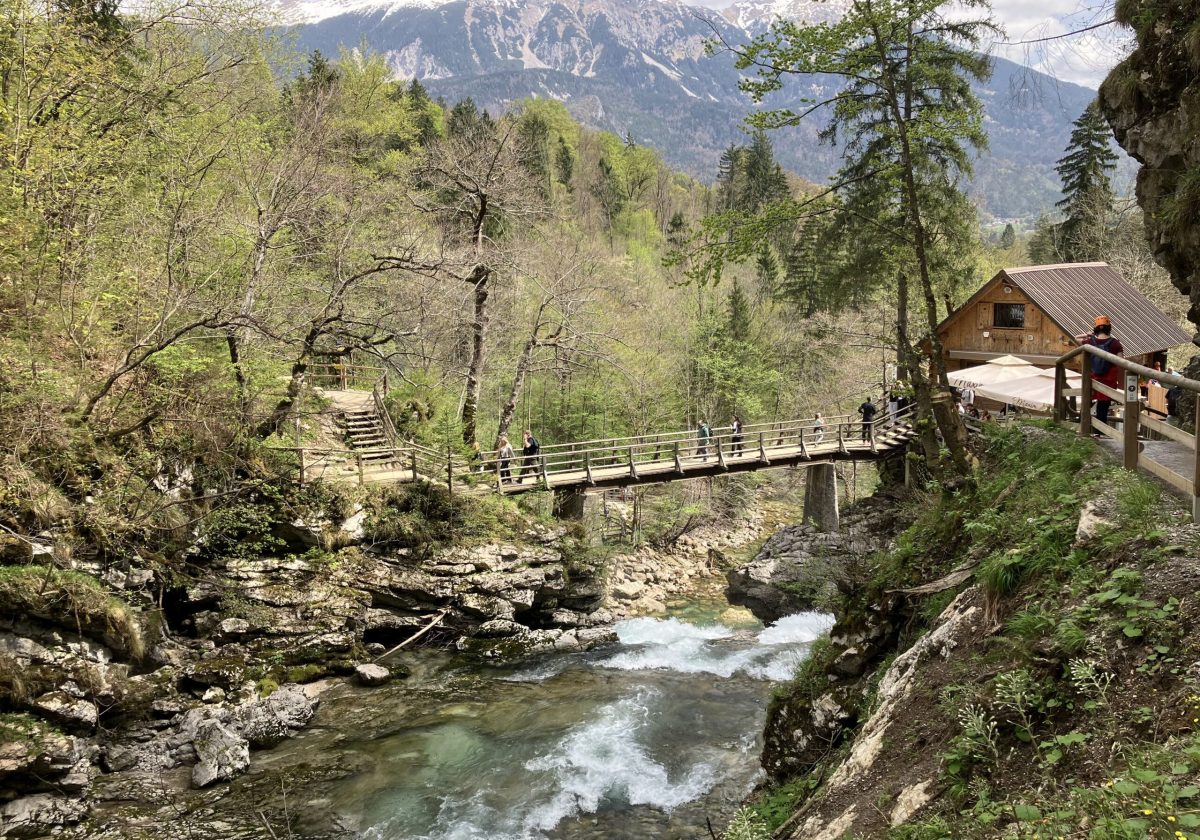 Slovenië 15