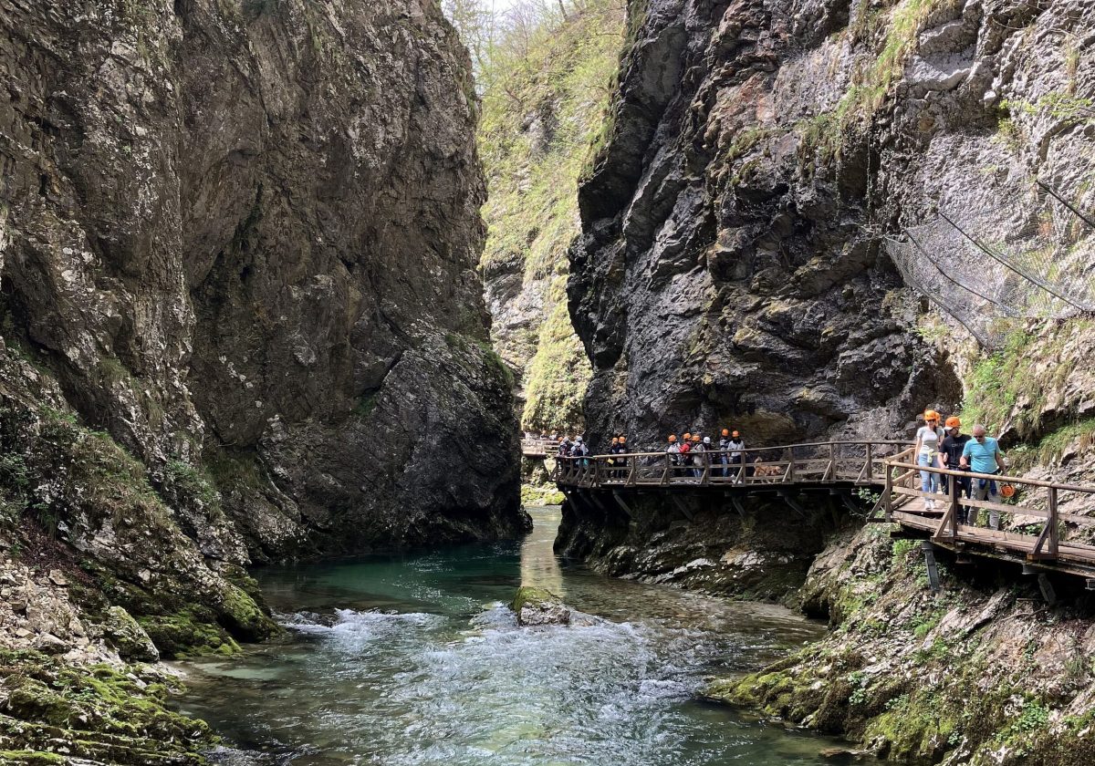 Slovenië 16