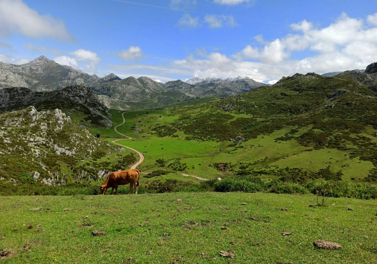 rondreis-paradores-noord-spanje-limpias-ribadeo-8-daagse-1