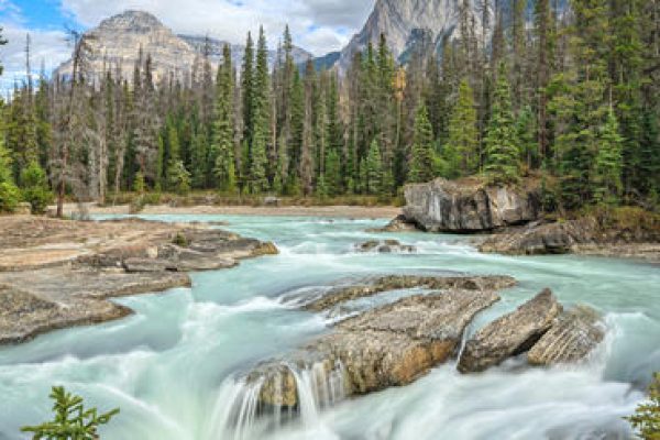 shutterstock_229732339