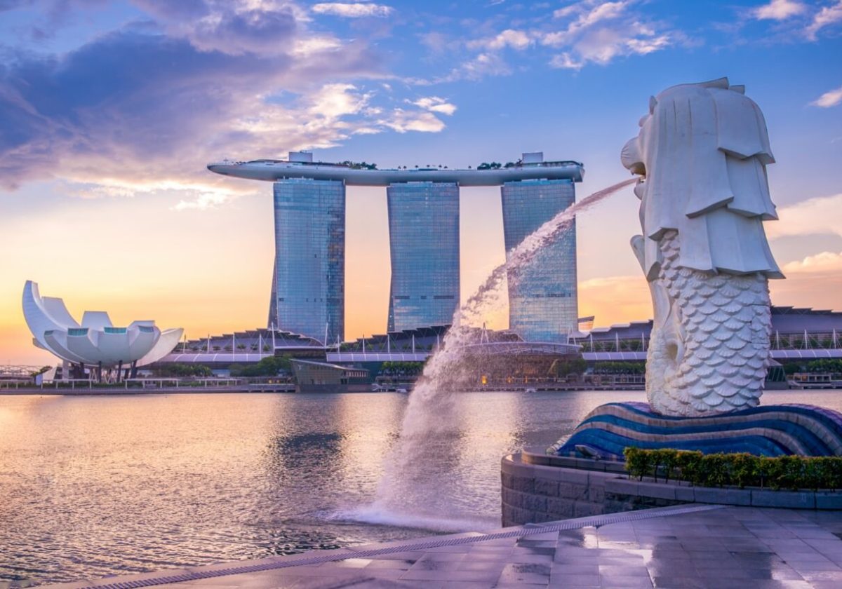 singapore5-Groot