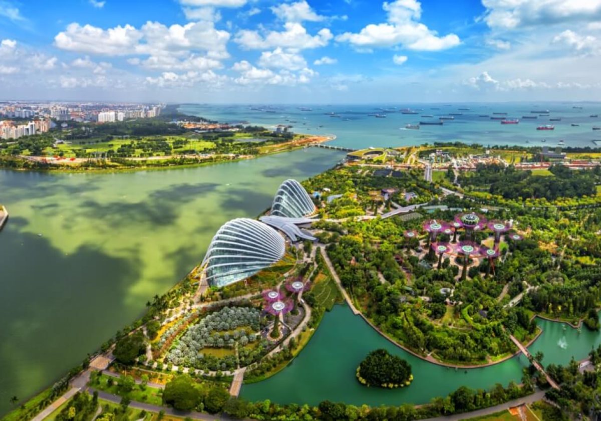singapore6-Groot